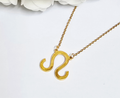 Leo zodiac necklace